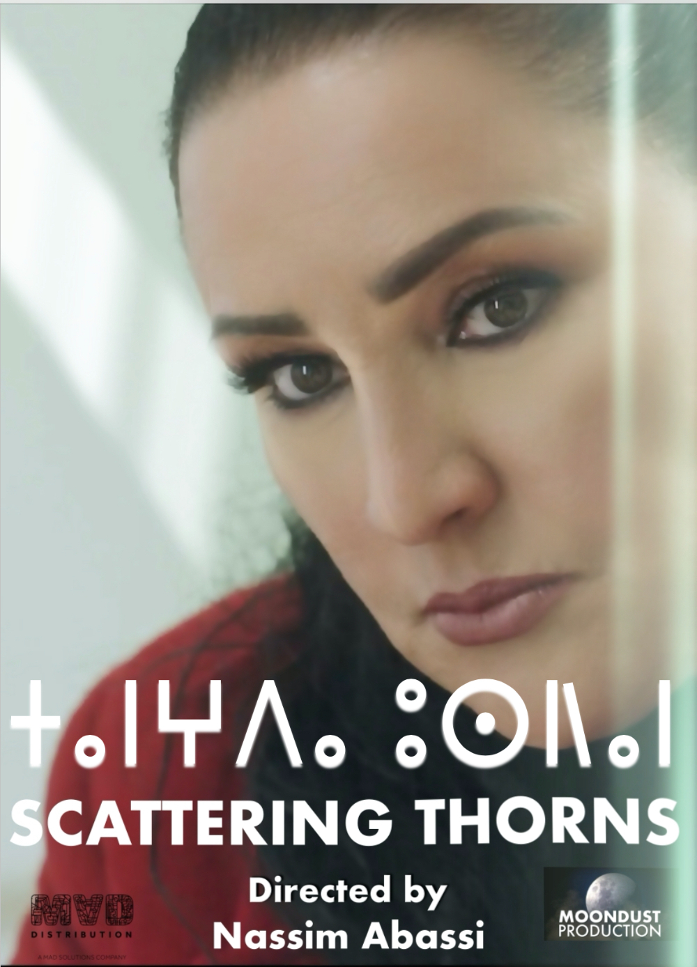 The Day of the Seagull Film